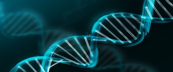 Влияние сознания на ДНК. Генетика ошибалась