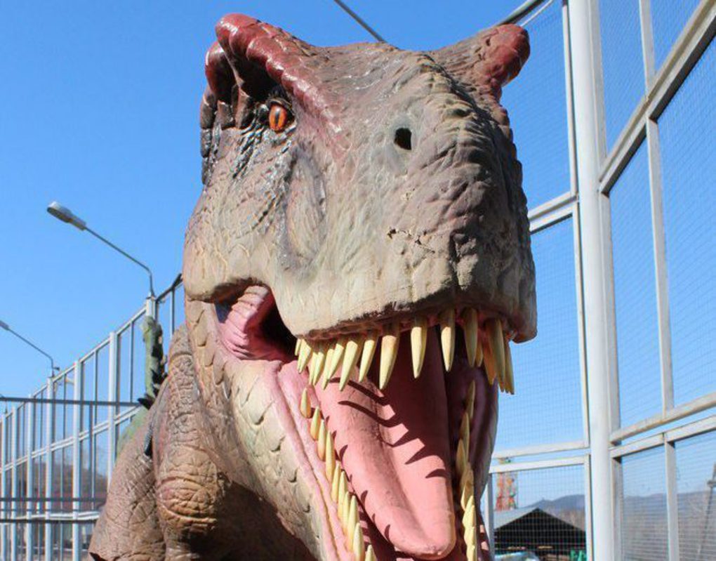 Сибирские ученые приехали в Красноярский край на поиски динозавров