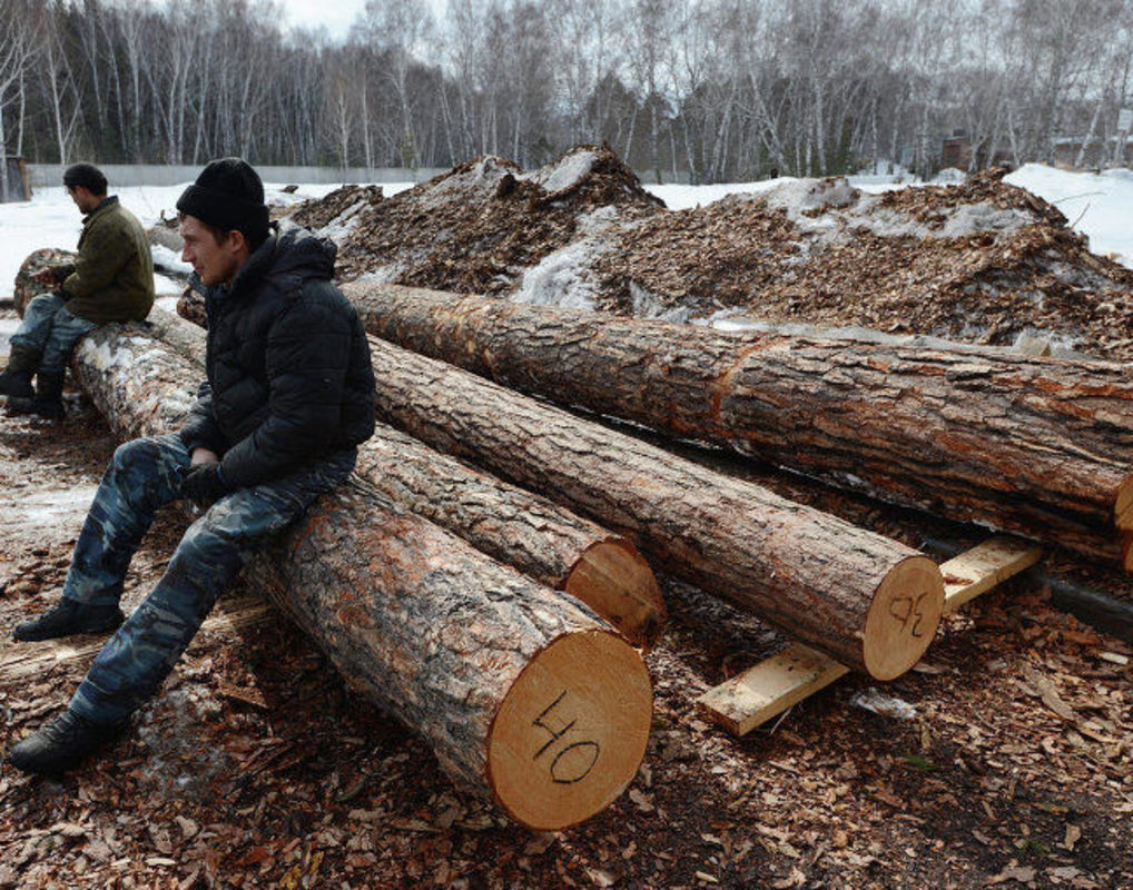 Лесная промышленность Красноярского края вышла на безубыточный уровень