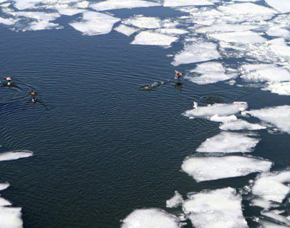 В МЧС предупредили красноярцев об опасности выхода на лед