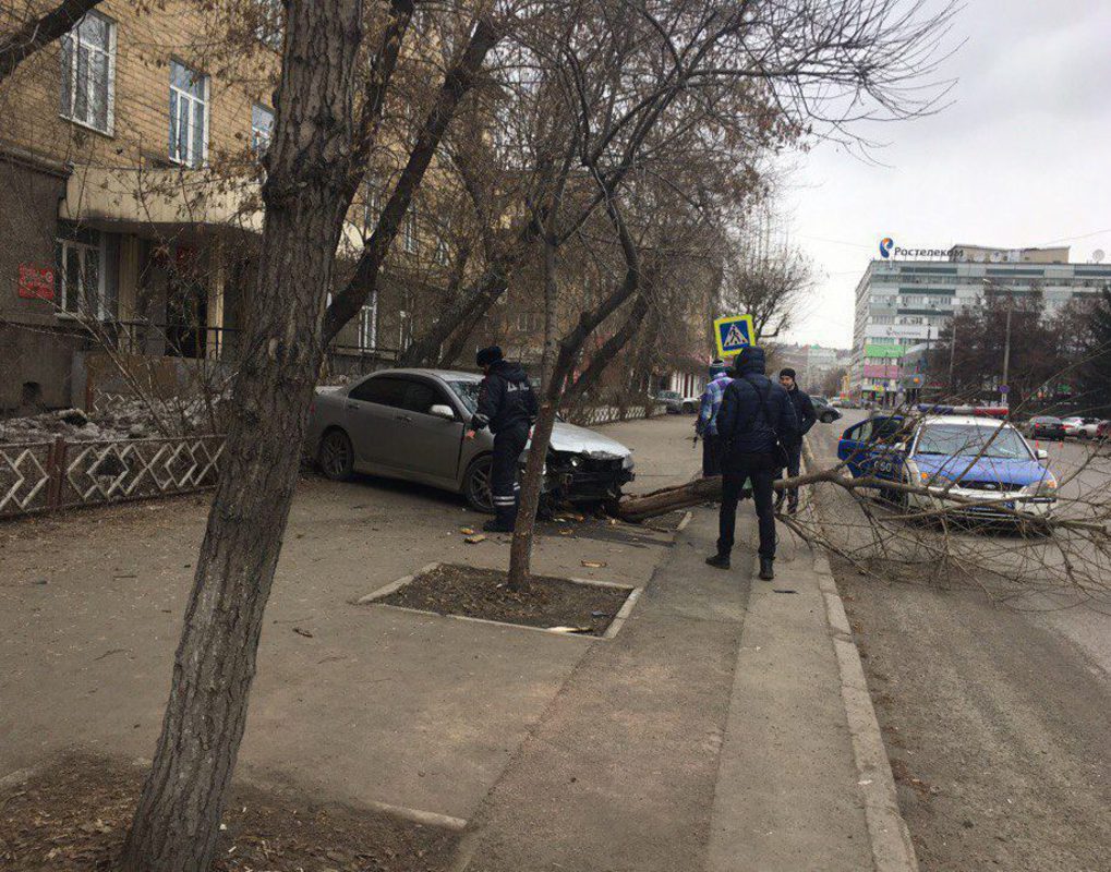 В центре Красноярска иномарка сбила пешехода и снесла дерево