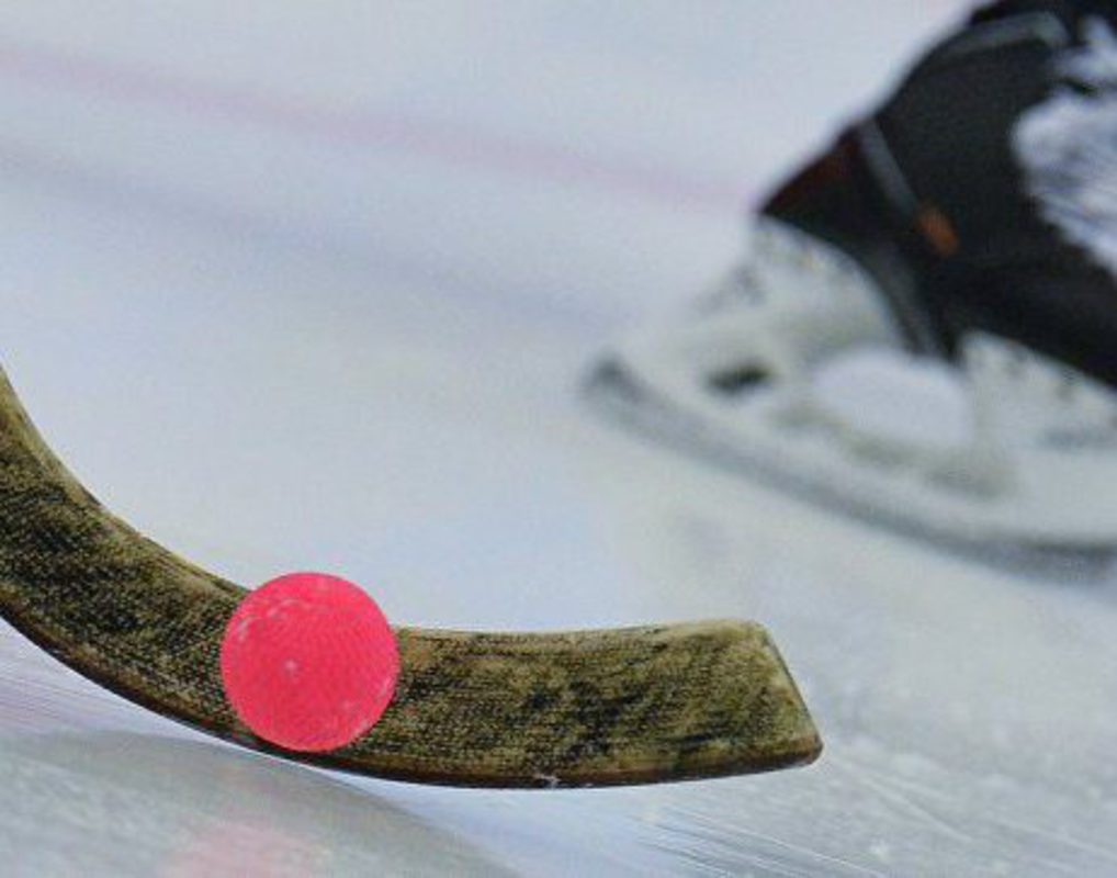 Красноярск может принять мировые чемпионаты по хоккею с мячом