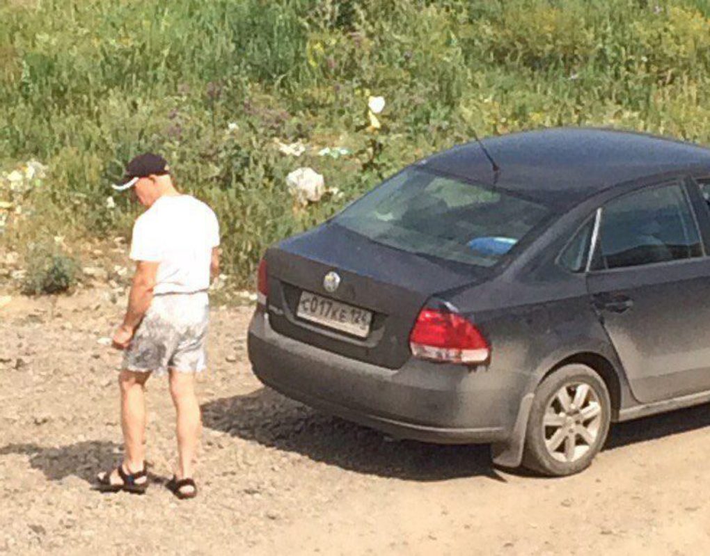 В Емельяново неизвестные из машины расстреляли бродячих собак 