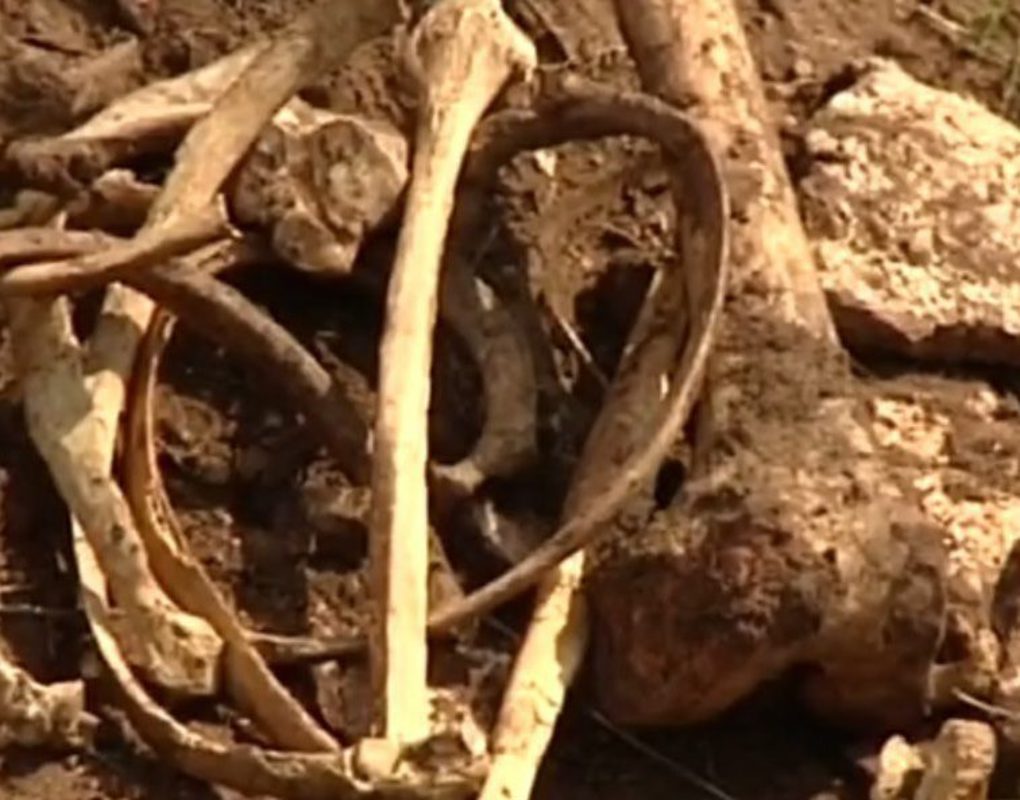 В деревне под Красноярском нашли кости средневекового человека