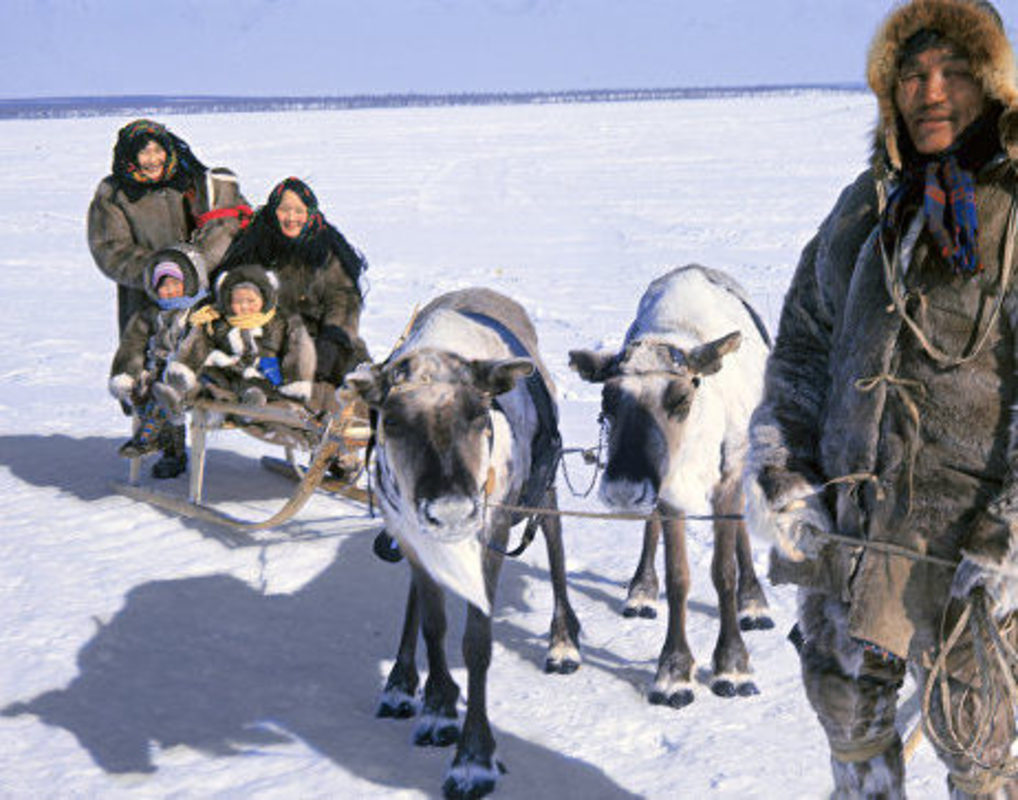 Эвенкию предложили включить в Арктическую зону РФ