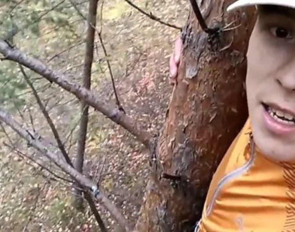 В Красноярске медведь загнал спортсмена на дерево