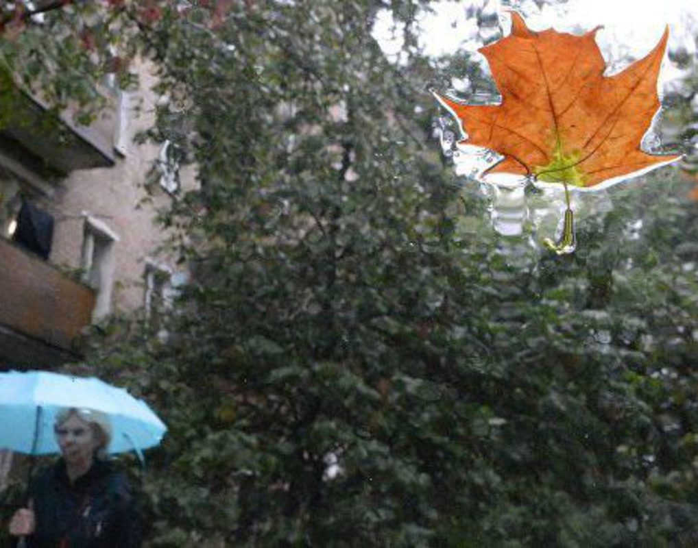 Теплая и дождливая погода ожидается в Красноярске на выходных 