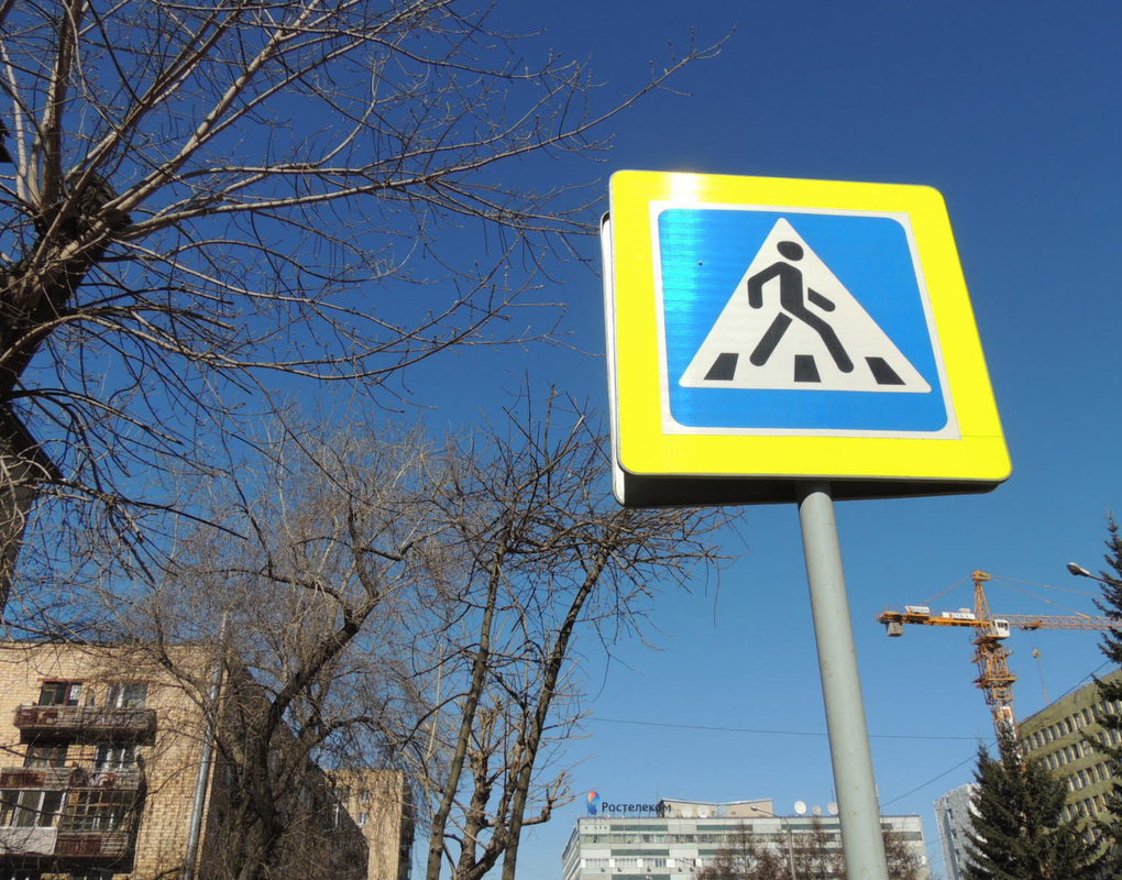 С начала года водители сбили на переходах Красноярска полсотни детей