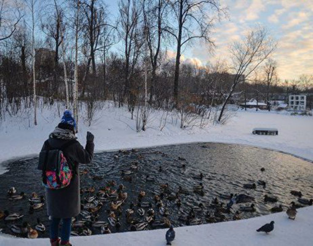 Потепление до -10°C придет в Красноярск в конце новогодних каникул