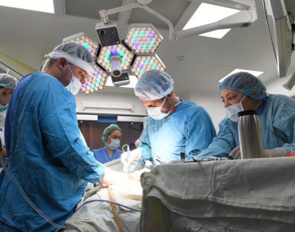 Красноярские хирурги в Германии изучили новый метод удаления опухолей в ЖКТ 