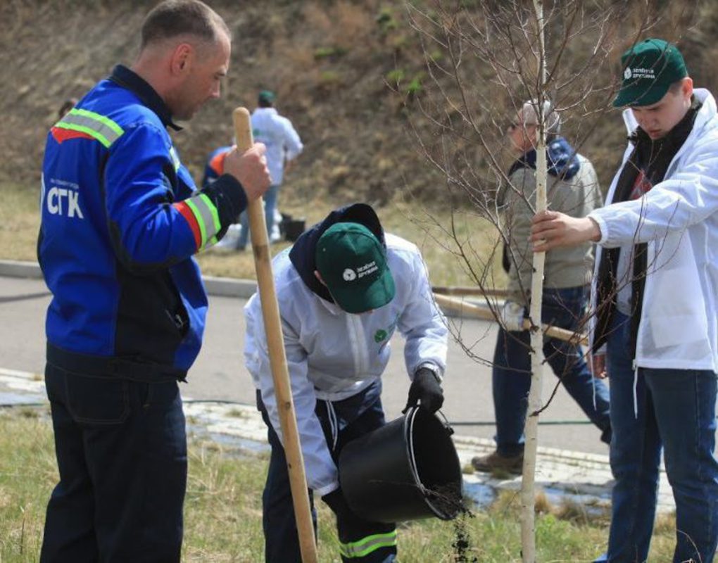 Зеленая дружина СГК продолжает озеленение Красноярска