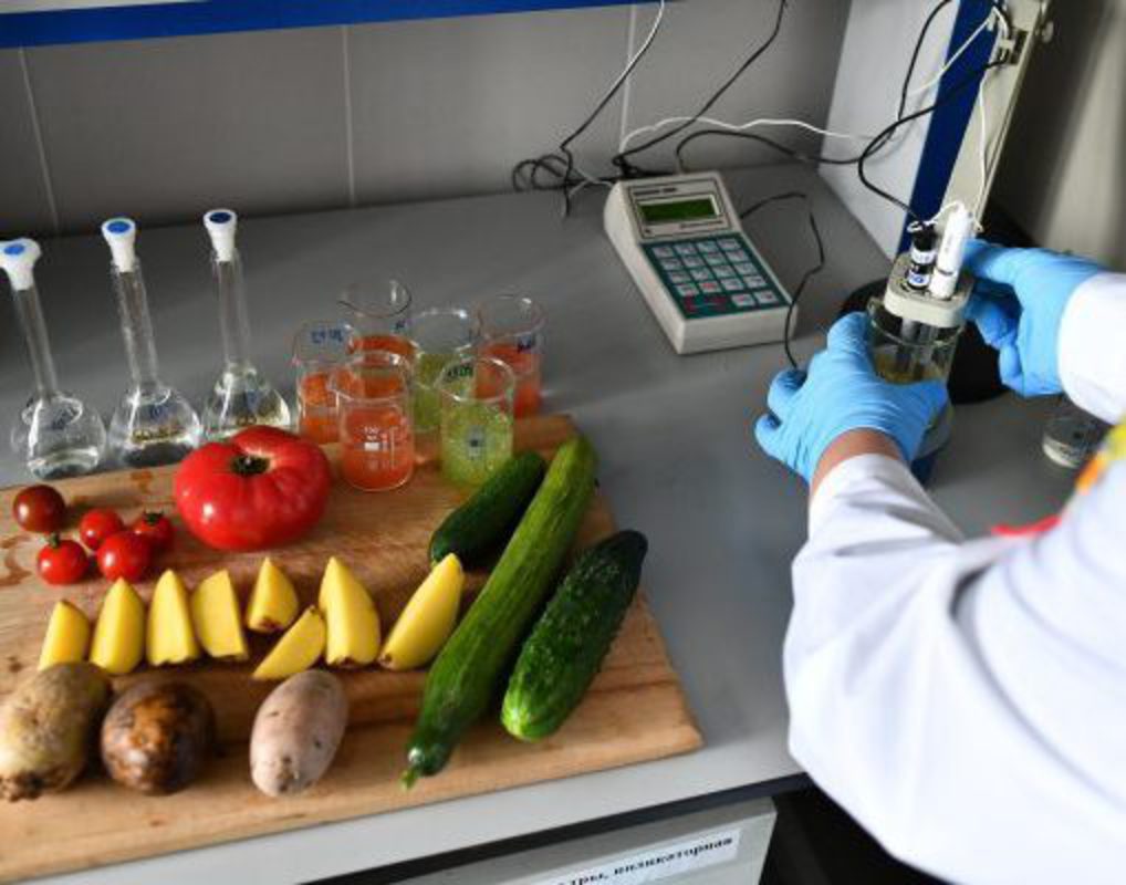 Красноярские ученые научились быстро определять зараженные химикатами овощи и фрукты