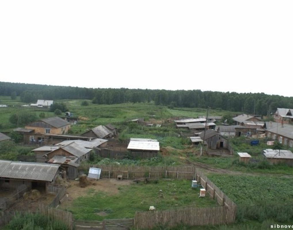 Участок земли в Емельяновском районе безвозмездно передадут Красноярску