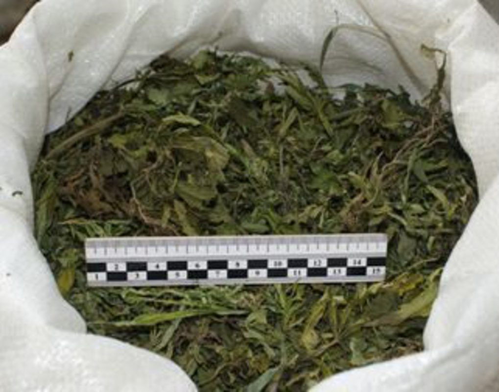 Более полутора килограммов марихуаны изъяли полицейские в Назаровском районе
