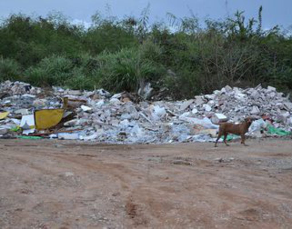 На ликвидацию стихийных мусорных полигонов в Центральном районе потратят еще 3 млн рублей