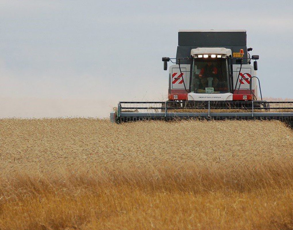Аграрии Красноярского края собрали более двух миллионов тонн зерна