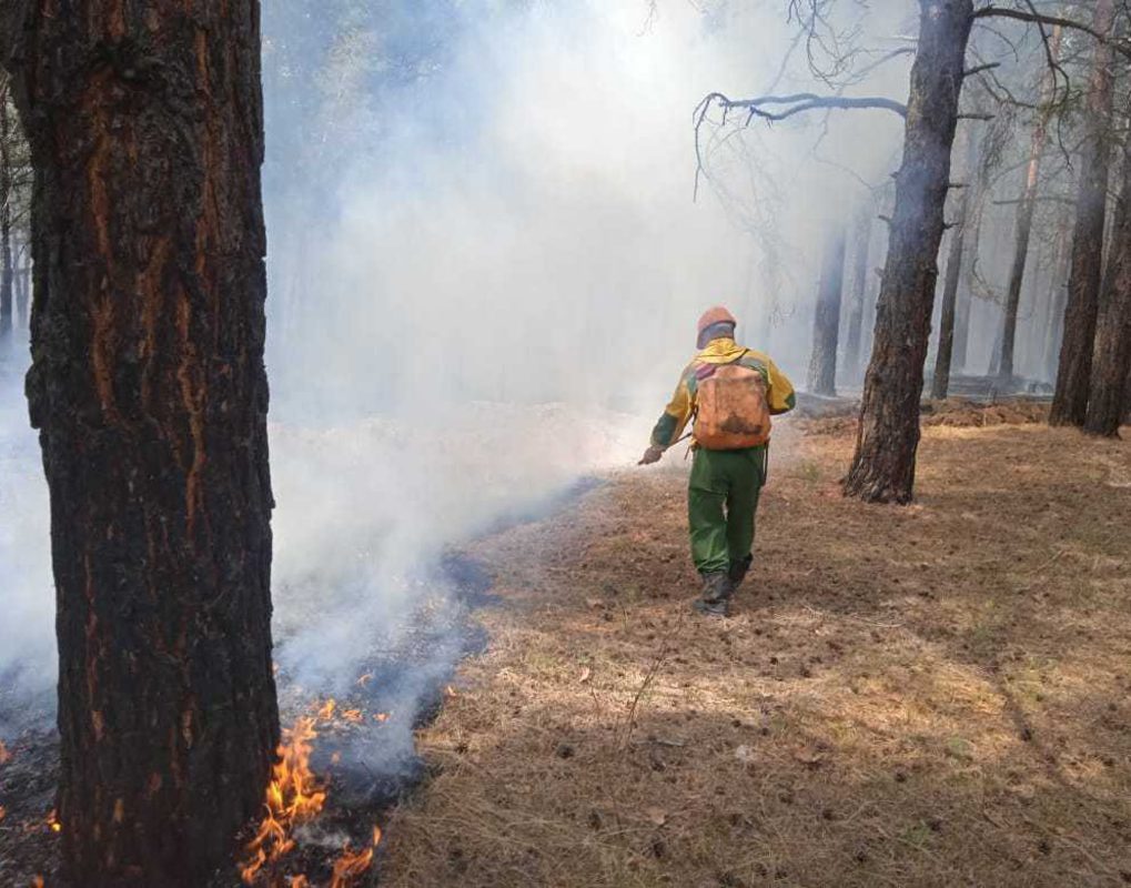 Более 300 лесных пожарных перебрасывают на север Красноярского края