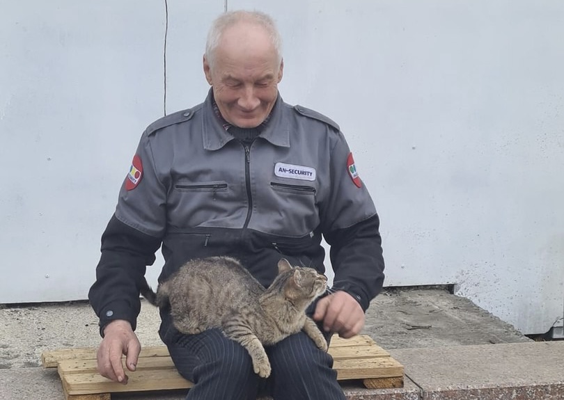 В Красноярске украденного церковного кота вернули в храм