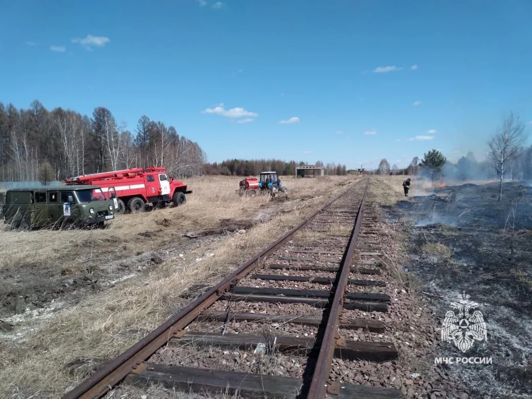 Высокую пожарную опасность прогнозируют в Красноярском крае на 8 мая